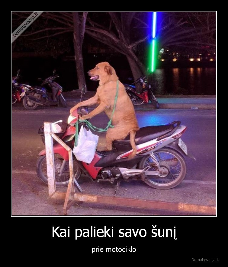 Kai palieki savo šunį - prie motociklo