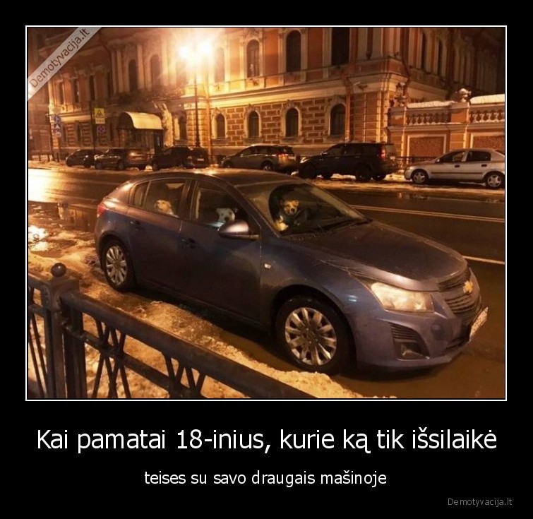 Kai pamatai 18-inius, kurie ką tik išsilaikė - teises su savo draugais mašinoje