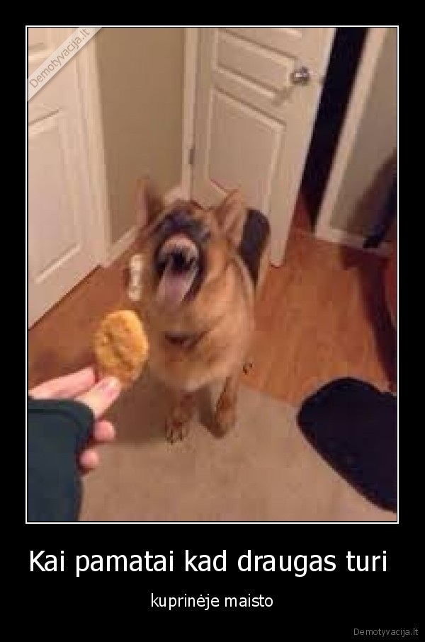 Kai pamatai kad draugas turi  - kuprinėje maisto