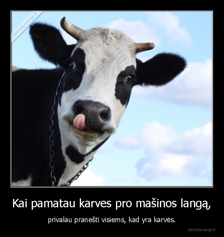 Kai pamatau karves pro mašinos langą, - privalau pranešti visiems, kad yra karvės.