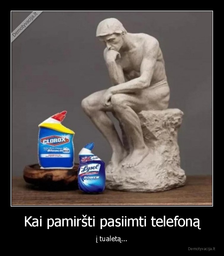 Kai pamiršti pasiimti telefoną - į tualetą...