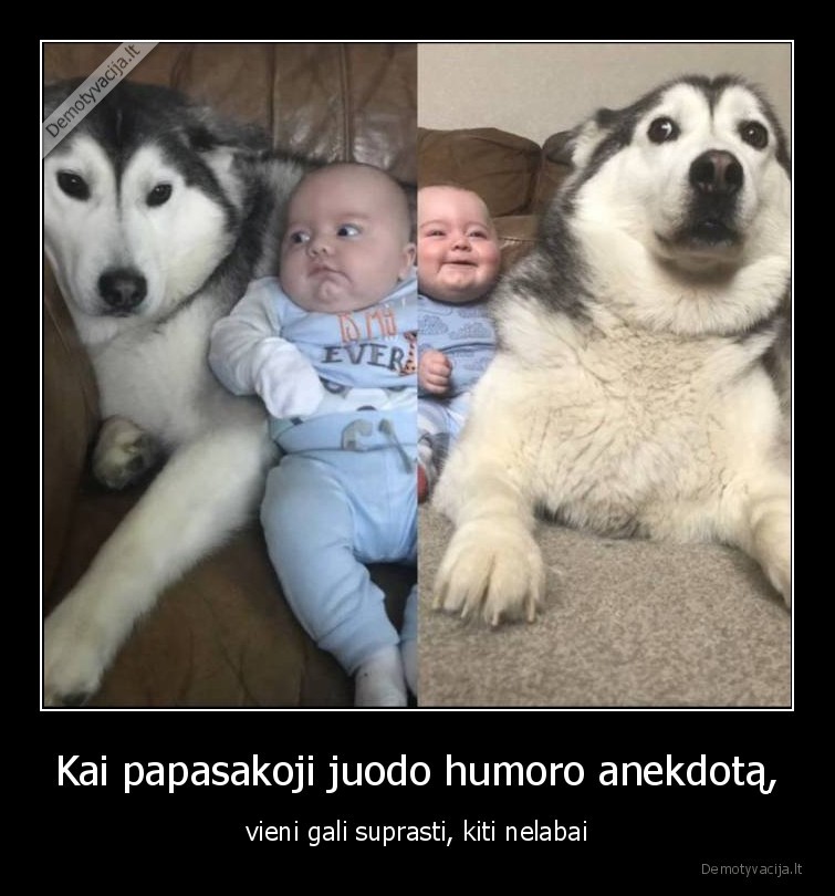 Kai papasakoji juodo humoro anekdotą, - vieni gali suprasti, kiti nelabai