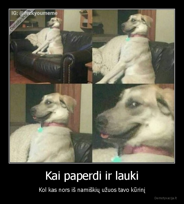 Kai paperdi ir lauki - Kol kas nors iš namiškių užuos tavo kūrinį