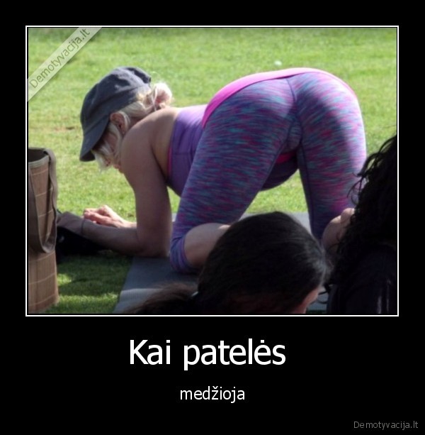 Kai patelės  - medžioja