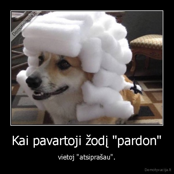 Kai pavartoji žodį "pardon" - vietoj "atsiprašau".