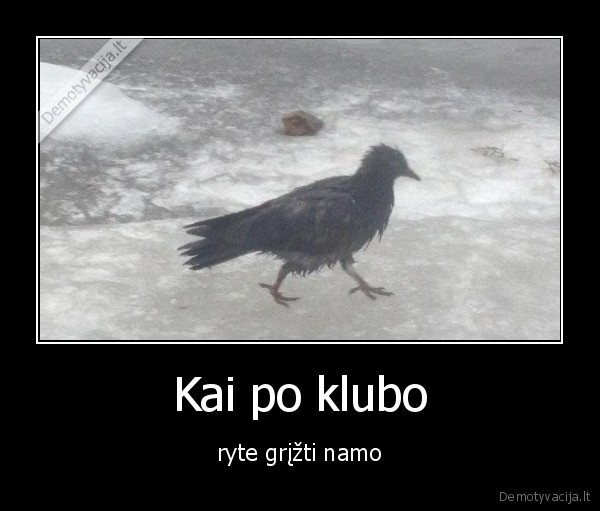 Kai po klubo - ryte grįžti namo