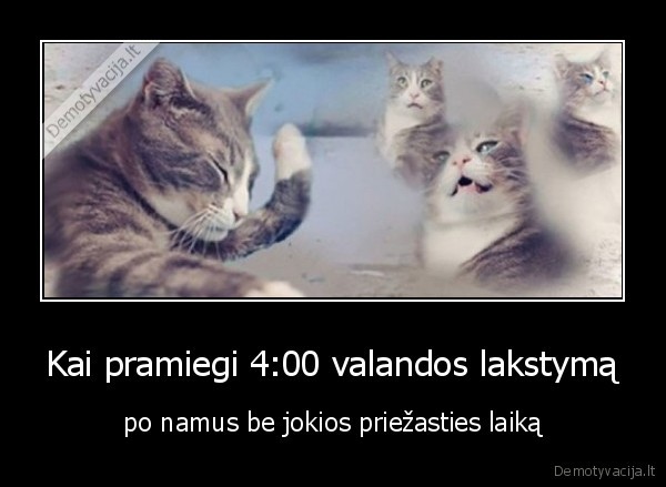 Kai pramiegi 4:00 valandos lakstymą - po namus be jokios priežasties laiką