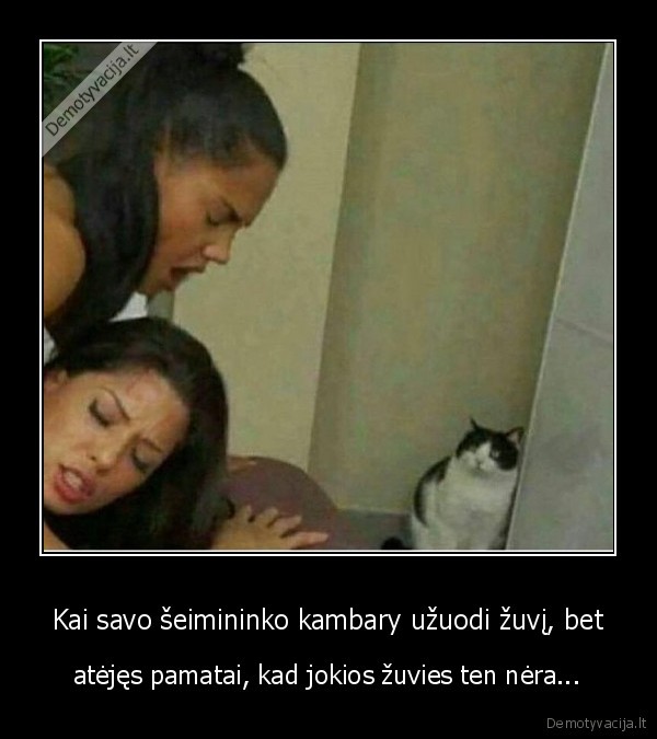 Kai savo šeimininko kambary užuodi žuvį, bet - atėjęs pamatai, kad jokios žuvies ten nėra...