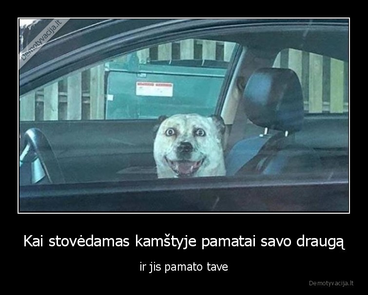 Kai stovėdamas kamštyje pamatai savo draugą - ir jis pamato tave