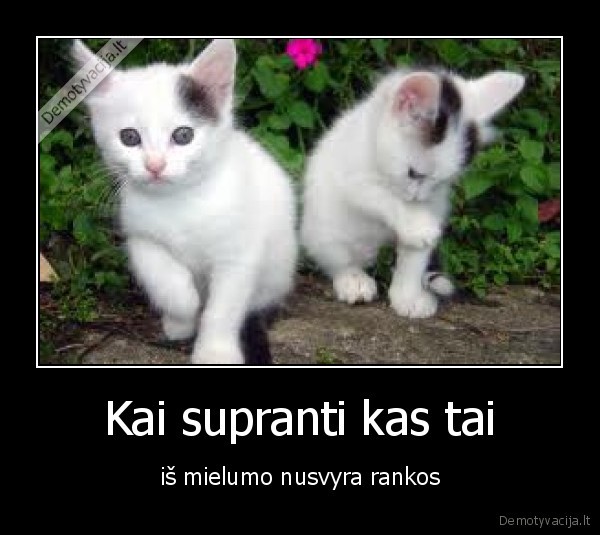 Kai supranti kas tai - iš mielumo nusvyra rankos
