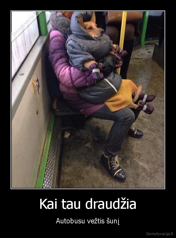 Kai tau draudžia - Autobusu vežtis šunį