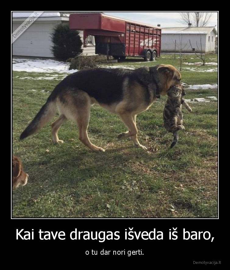 Kai tave draugas išveda iš baro, - o tu dar nori gerti.