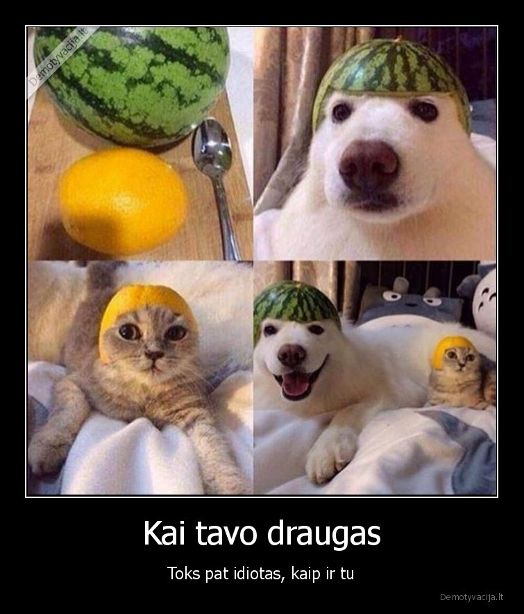 Kai tavo draugas - Toks pat idiotas, kaip ir tu