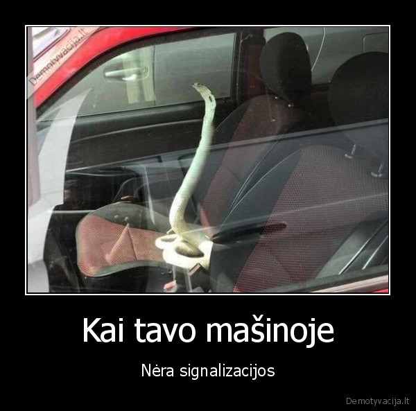 Kai tavo mašinoje - Nėra signalizacijos