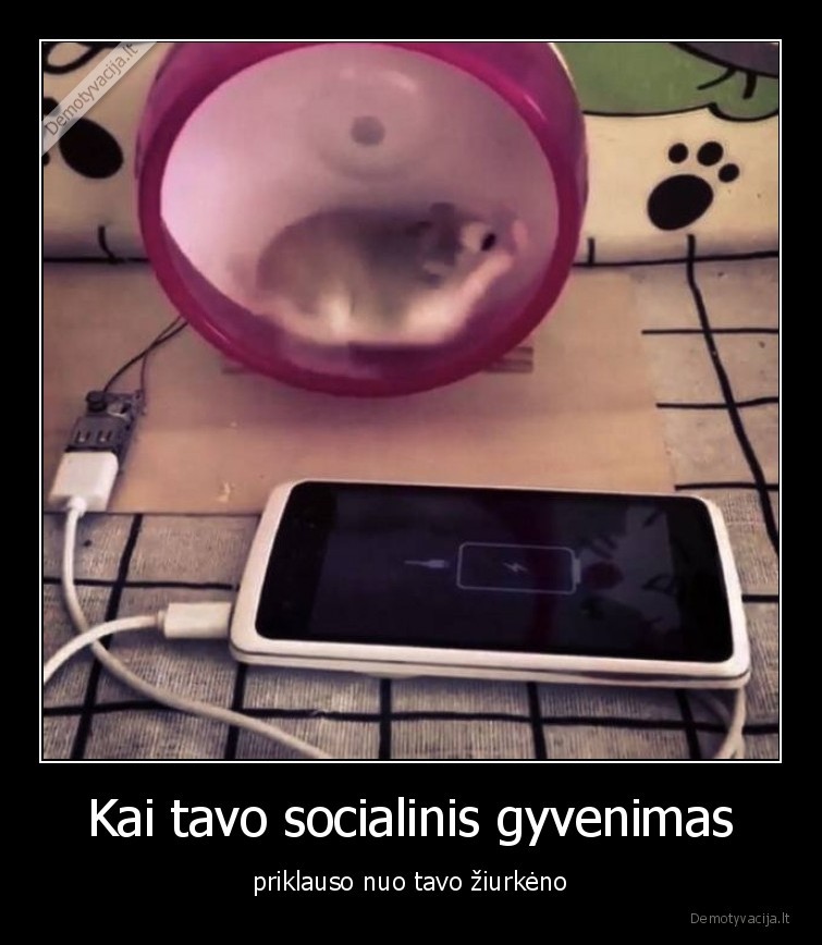 Kai tavo socialinis gyvenimas - priklauso nuo tavo žiurkėno