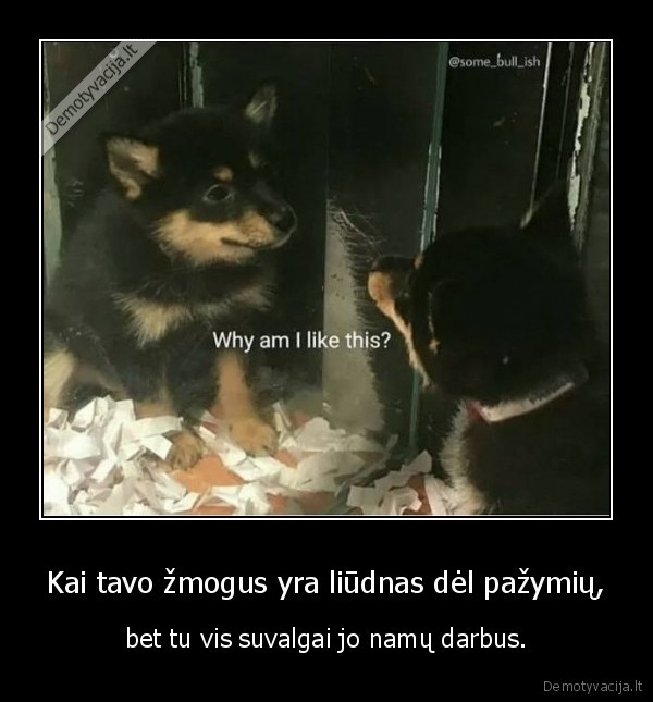 Kai tavo žmogus yra liūdnas dėl pažymių, - bet tu vis suvalgai jo namų darbus.