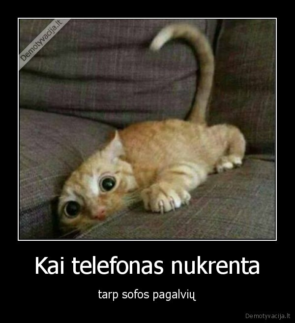 Kai telefonas nukrenta - tarp sofos pagalvių