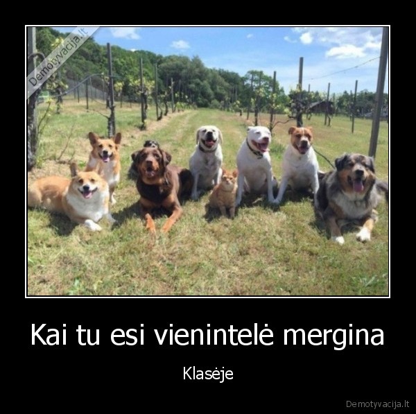 Kai tu esi vienintelė mergina - Klasėje