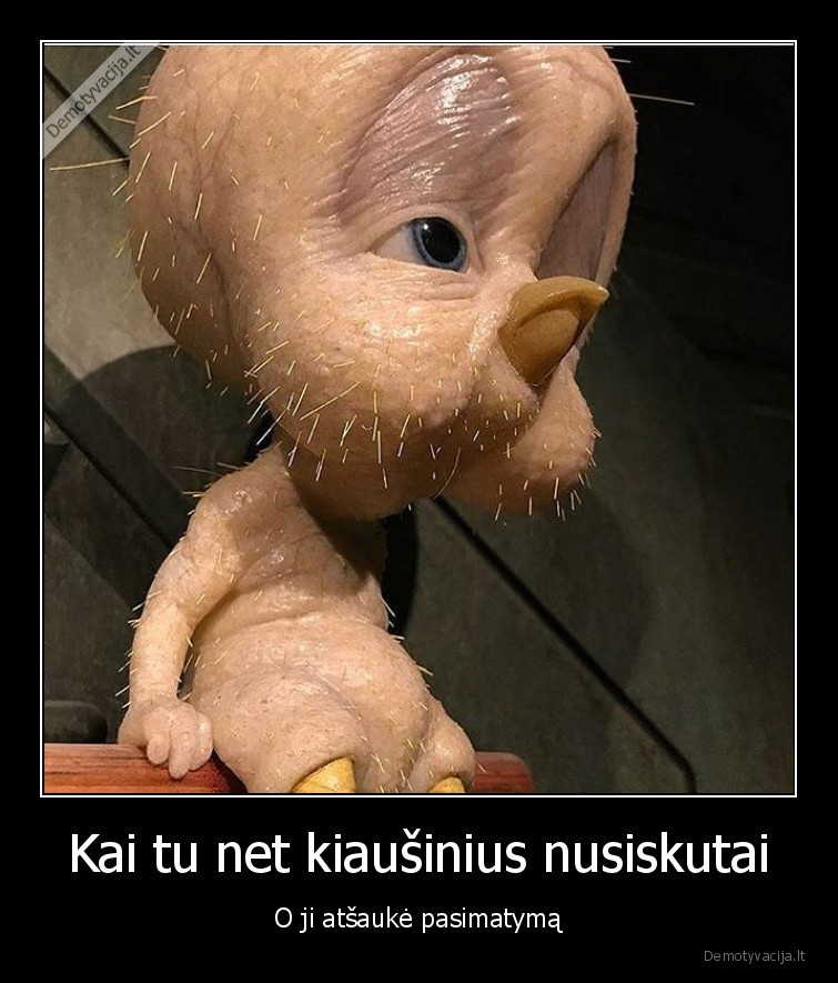 Kai tu net kiaušinius nusiskutai - O ji atšaukė pasimatymą