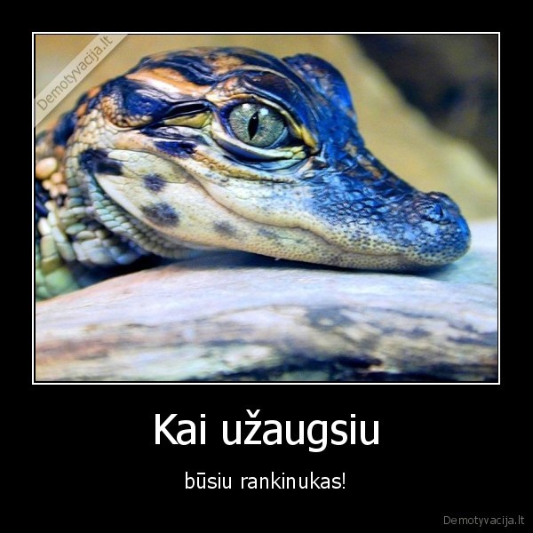 Kai užaugsiu - būsiu rankinukas!