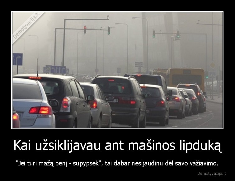 Kai užsiklijavau ant mašinos lipduką - "Jei turi mažą penį - supypsėk", tai dabar nesijaudinu dėl savo važiavimo.