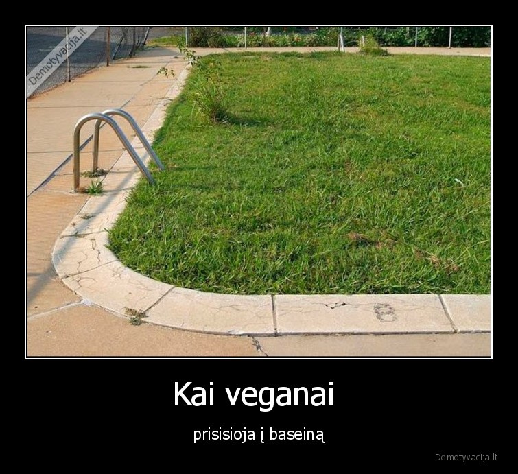 Kai veganai  - prisisioja į baseiną