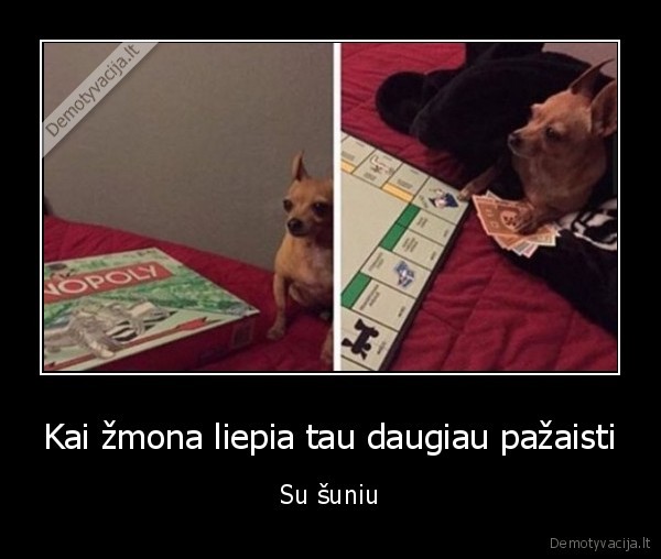 Kai žmona liepia tau daugiau pažaisti - Su šuniu