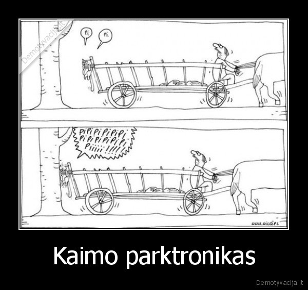 Kaimo parktronikas - 