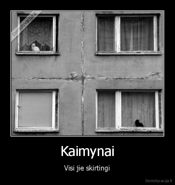 Kaimynai - Visi jie skirtingi