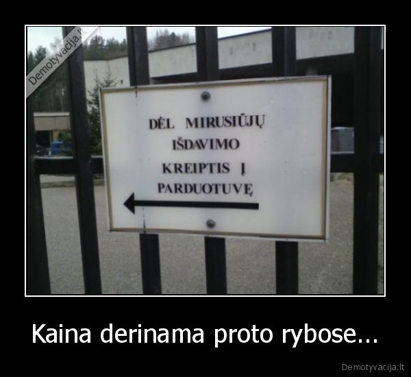 Kaina derinama proto rybose... - 