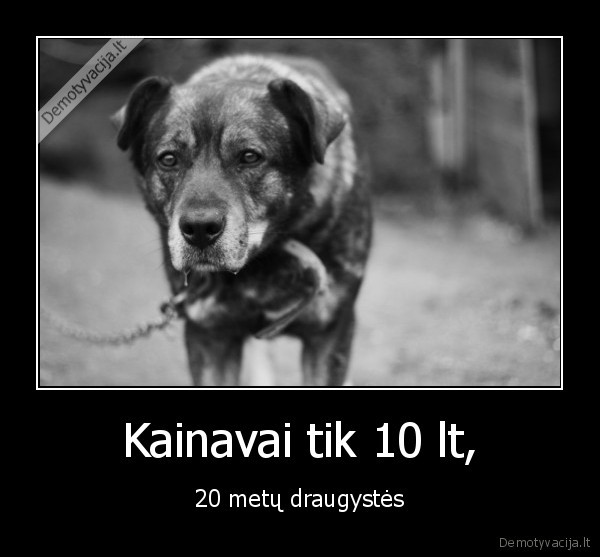 Kainavai tik 10 lt, - 20 metų draugystės