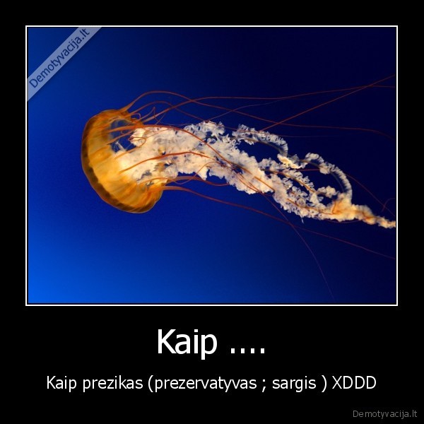 Kaip .... - Kaip prezikas (prezervatyvas ; sargis ) XDDD