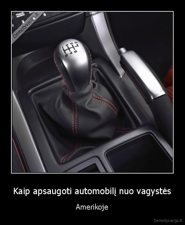 Kaip apsaugoti automobilį nuo vagystės - Amerikoje