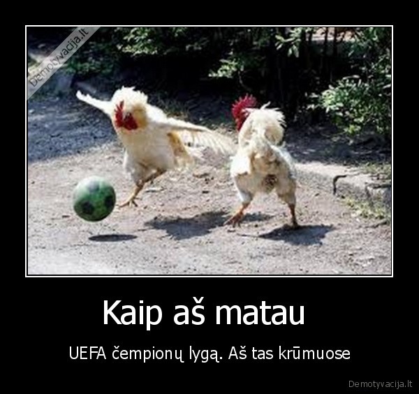 Kaip aš matau  - UEFA čempionų lygą. Aš tas krūmuose