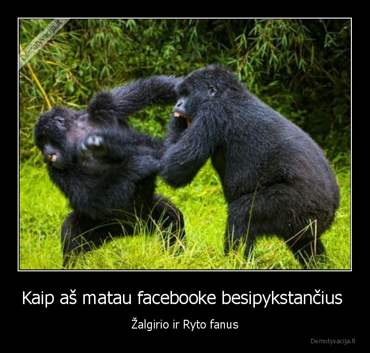 Kaip aš matau facebooke besipykstančius  - Žalgirio ir Ryto fanus