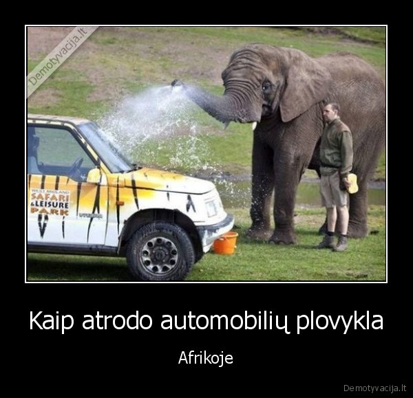 Kaip atrodo automobilių plovykla - Afrikoje