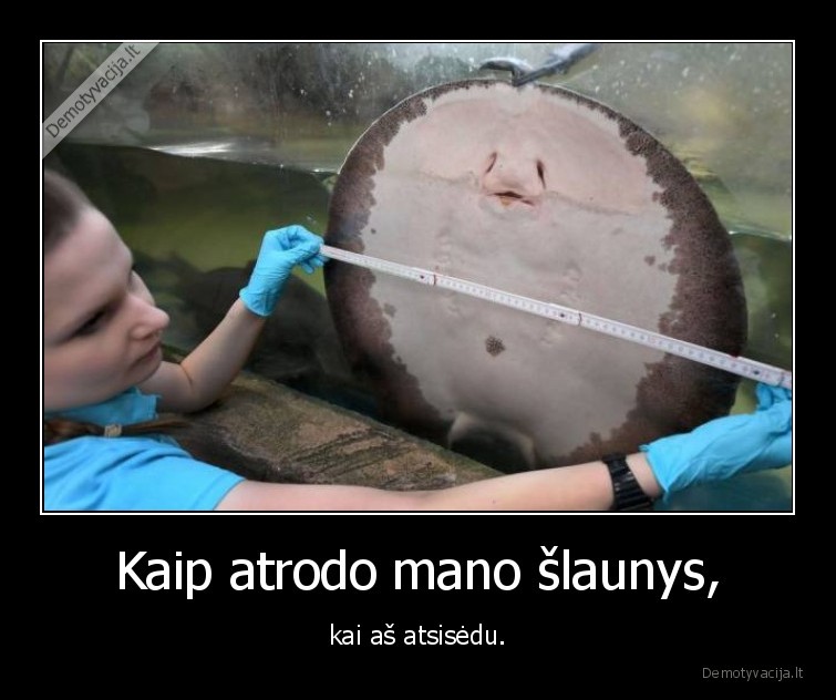 Kaip atrodo mano šlaunys, - kai aš atsisėdu.