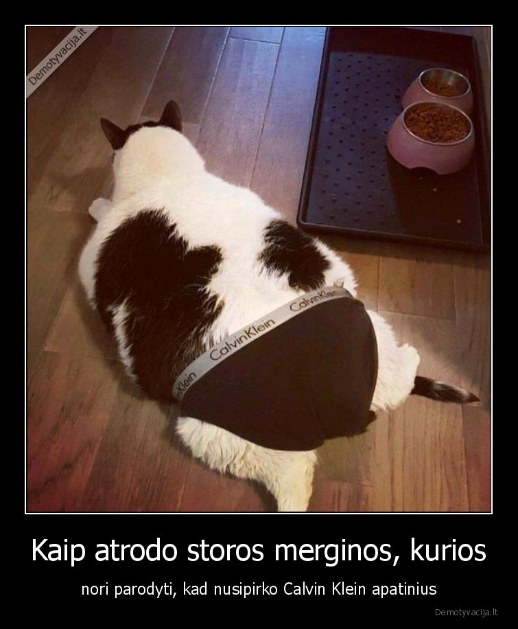 Kaip atrodo storos merginos, kurios - nori parodyti, kad nusipirko Calvin Klein apatinius