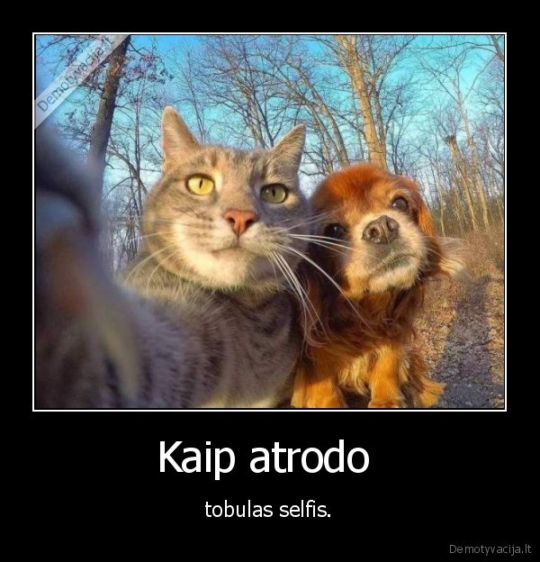 Kaip atrodo  - tobulas selfis.