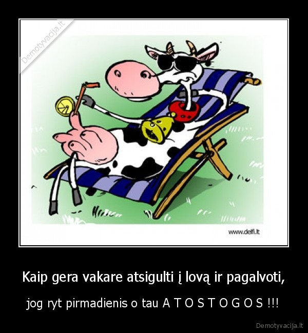Kaip gera vakare atsigulti į lovą ir pagalvoti, - jog ryt pirmadienis o tau A T O S T O G O S !!!