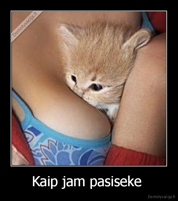 Kaip jam pasiseke  - 