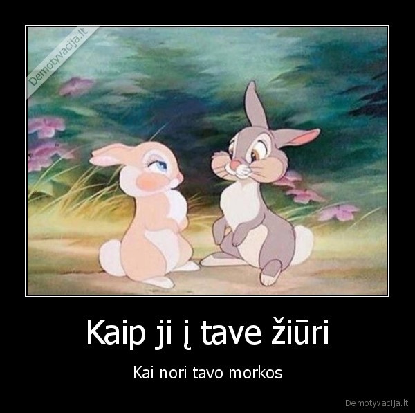 Kaip ji į tave žiūri - Kai nori tavo morkos