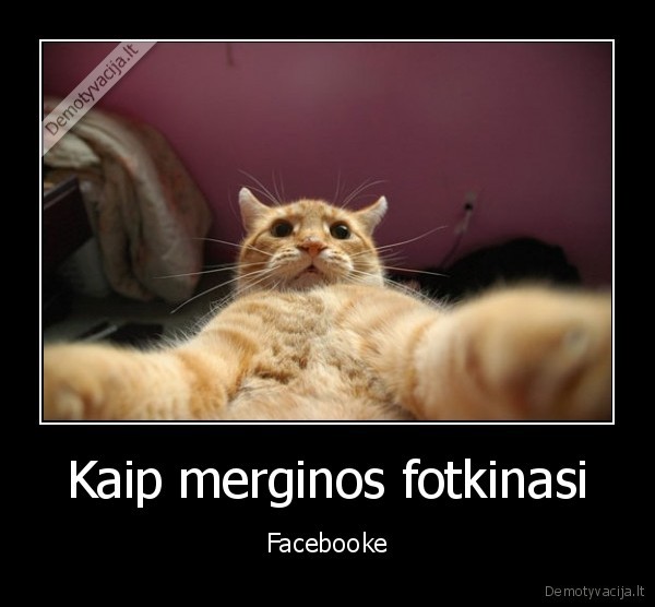 Kaip merginos fotkinasi - Facebooke