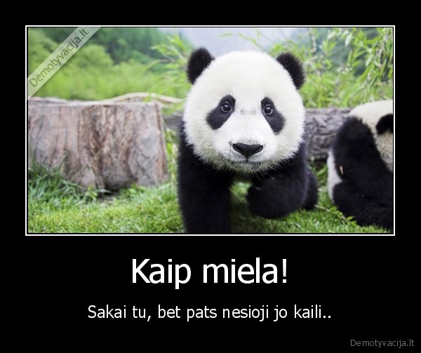 Kaip miela! - Sakai tu, bet pats nesioji jo kaili..