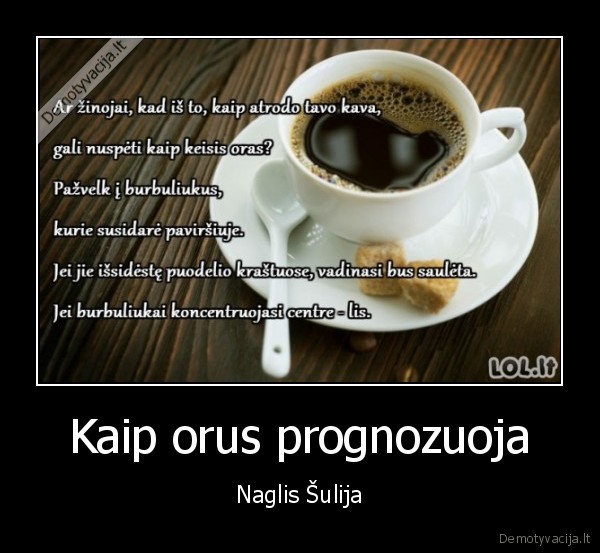 Kaip orus prognozuoja - Naglis Šulija