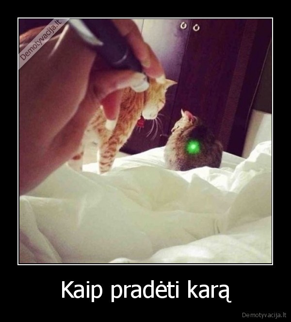 Kaip pradėti karą - 