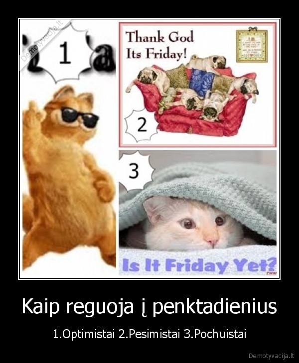Kaip reguoja į penktadienius - 1.Optimistai 2.Pesimistai 3.Pochuistai