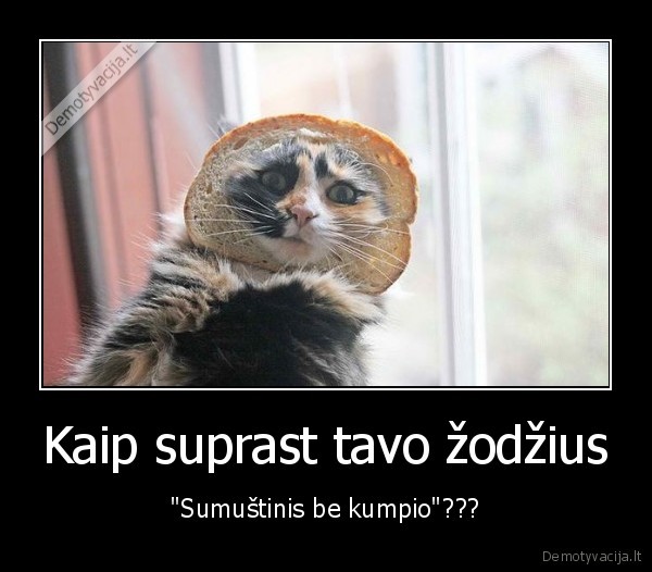 Kaip suprast tavo žodžius - "Sumuštinis be kumpio"???