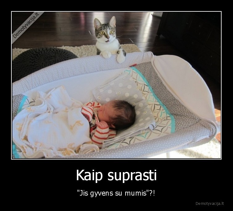 Kaip suprasti - "Jis gyvens su mumis"?!