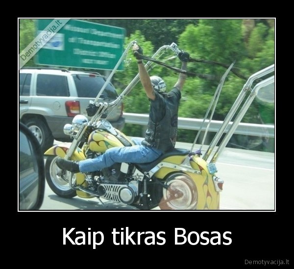 Kaip tikras Bosas - 